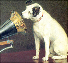 Sir Nipper in person !