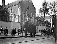 Avenue de Dols