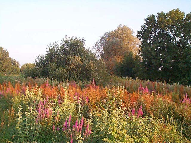 Ecoparc en Juillet