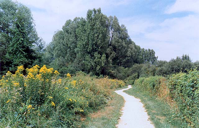 Sentier de promenade